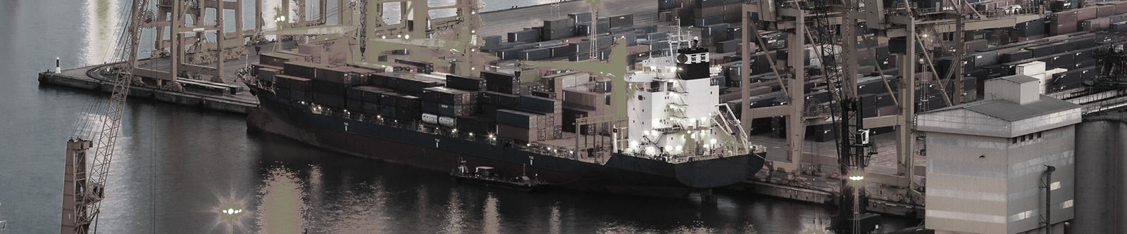 Read more about the article Comercio Exterior y Aduanas