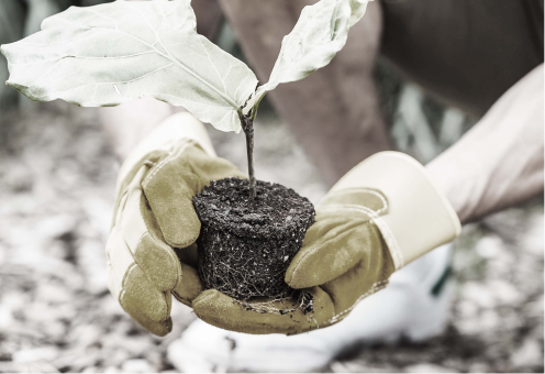 Read more about the article Protección patrimonial